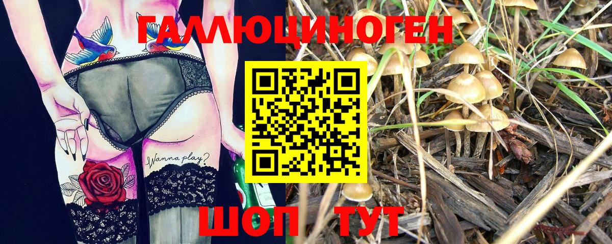 Псилоцибиновые грибы GOLDEN TEACHER  Вход с VPN  Котлас 